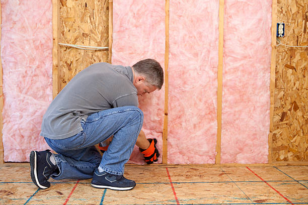 Best Garage Insulation Installation  in Weedpatch, CA